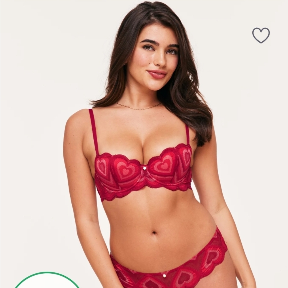 Red Heart Lace Bra and Panty Set